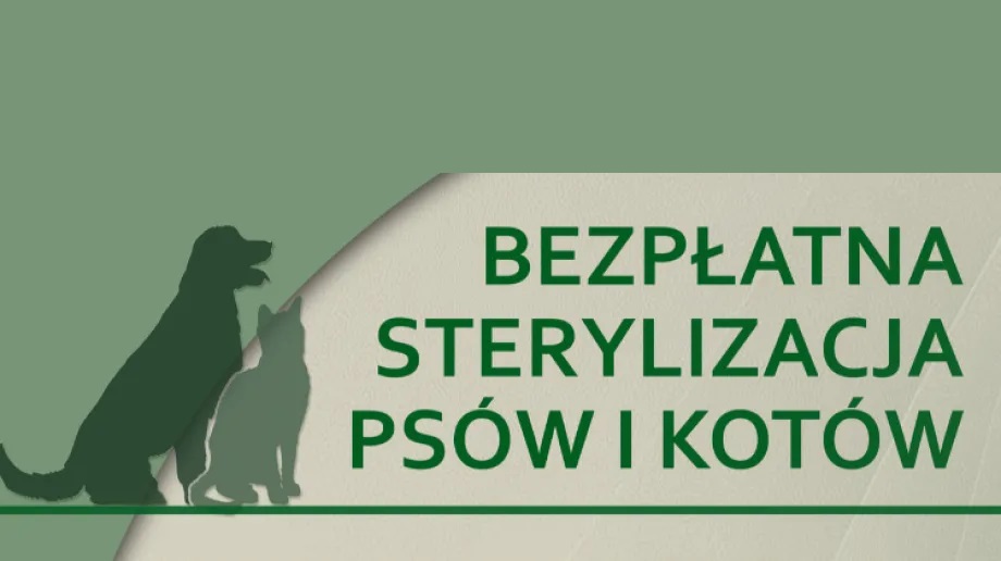 Program sterylizacji i czipowania zwierząt w gminie Wierzchlas w 2026 roku.