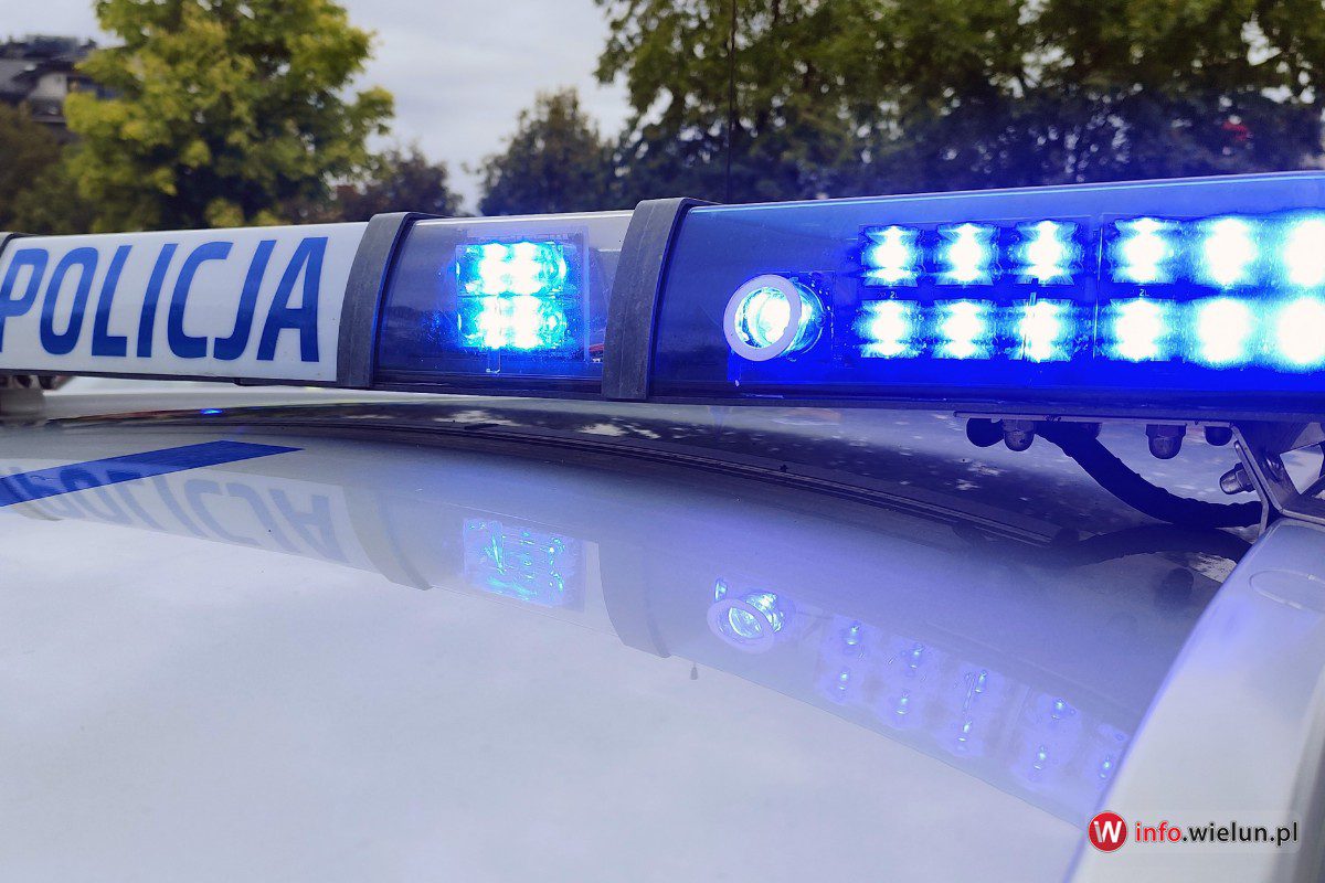 Pociąg i służby w związku ze zdarzeniem kolejowym w Wieluniu