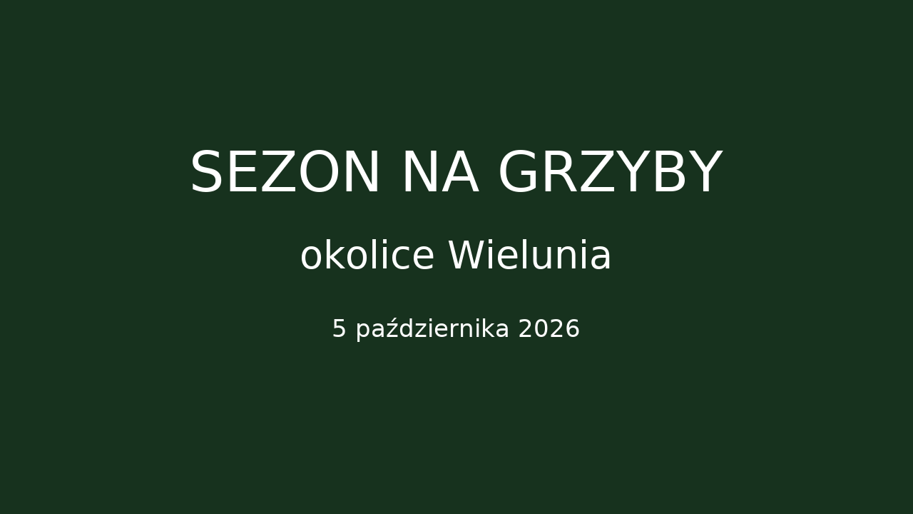 Grafika informująca o rozpoczęciu sezonu grzybowego w lasach w okolicach Wielunia.