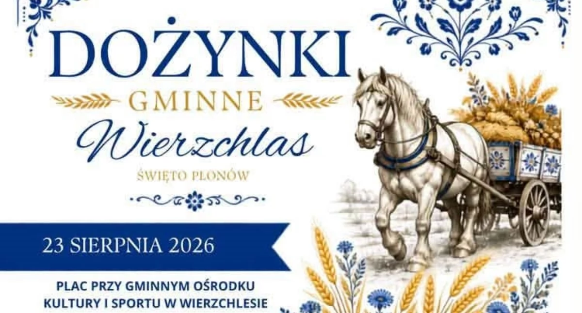 Plakat Dożynek Gminnych Wierzchlas 2026 z datą 23 sierpnia i motywem święta plonów.