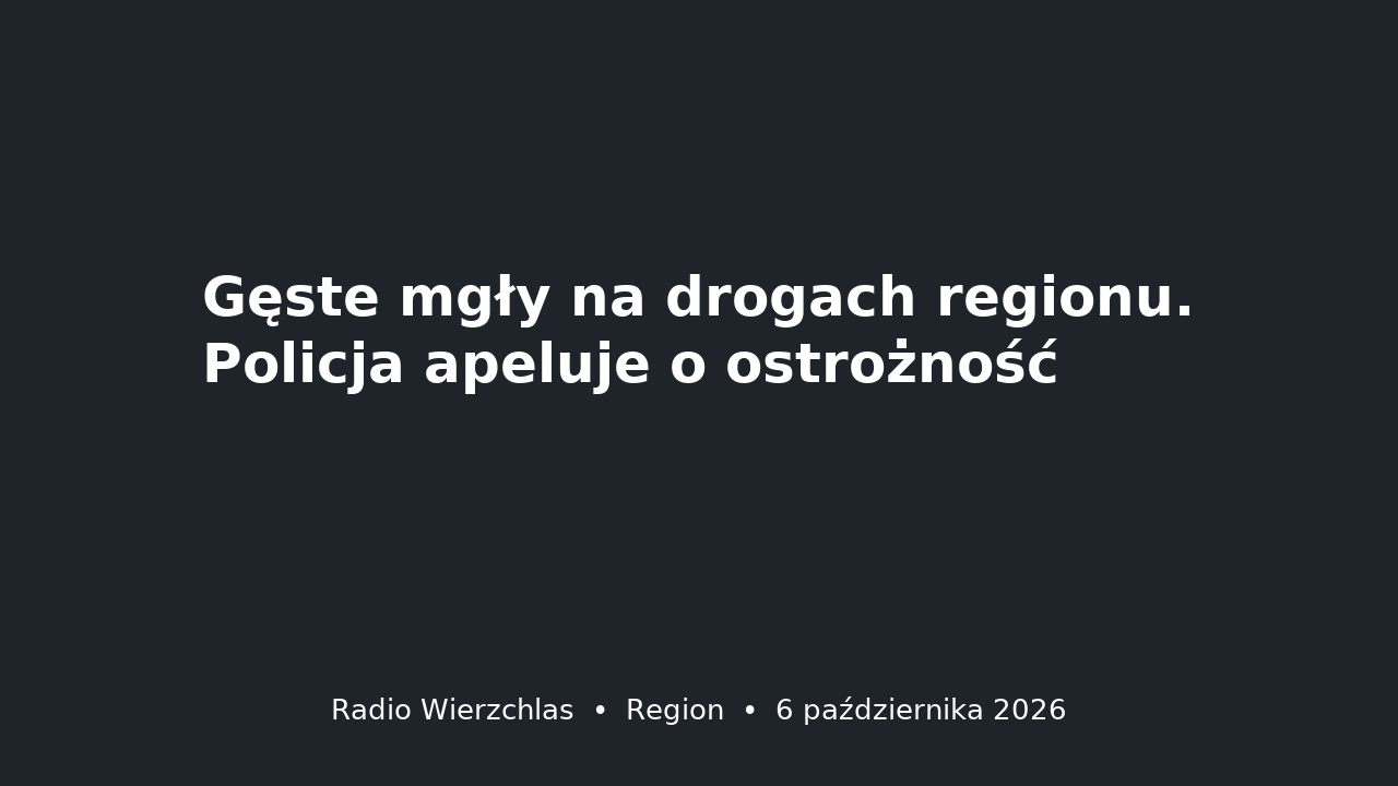 Grafika do aktualności: Gęste mgły na drogach regionu. Policja apeluje o ostrożność