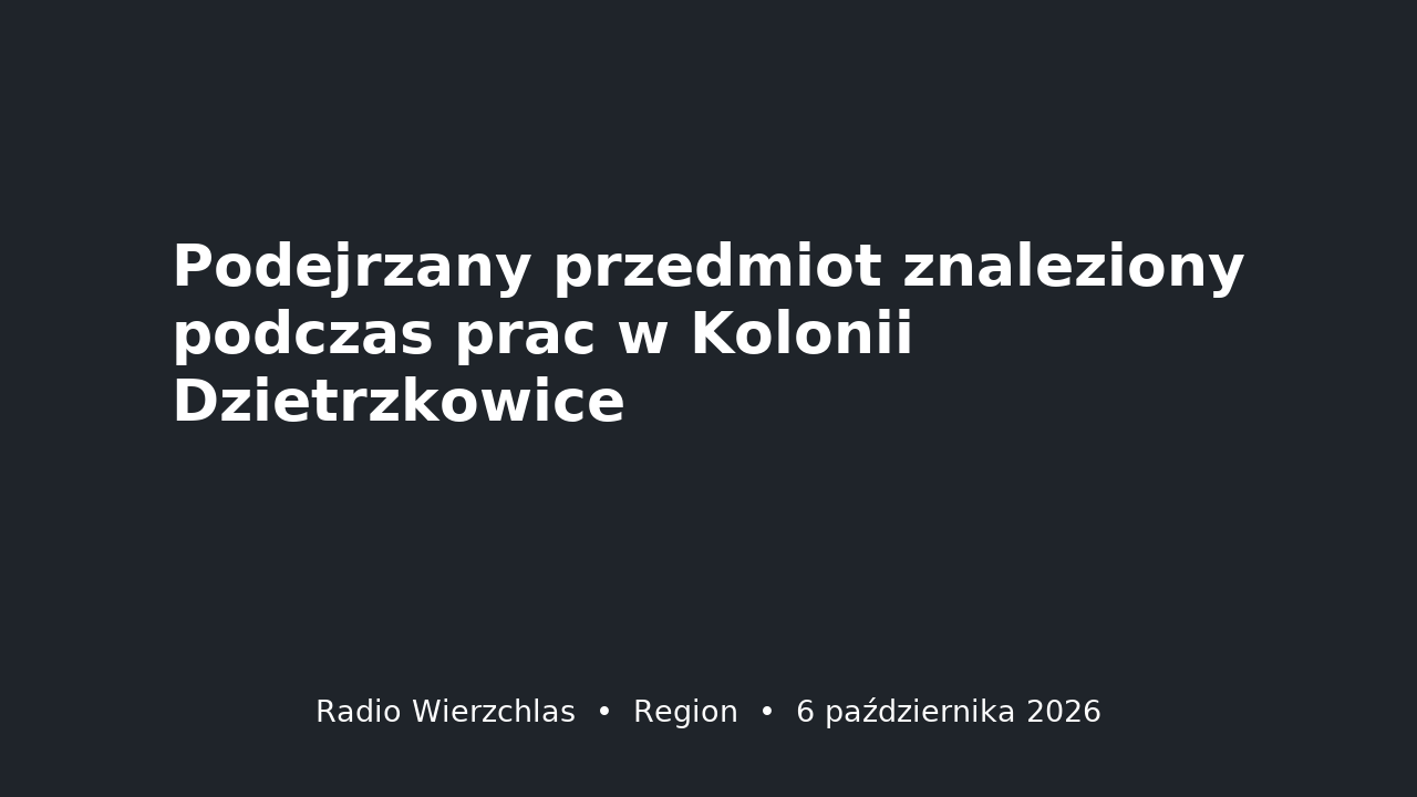 Grafika do aktualności: Podejrzany przedmiot znaleziony podczas prac w Kolonii Dzietrzkowice