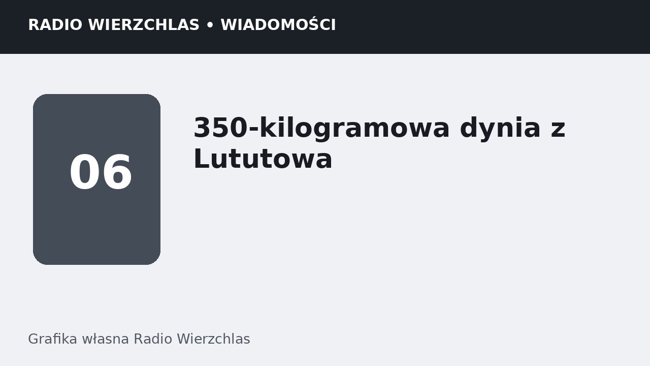 Grafika informacyjna Radio Wierzchlas.