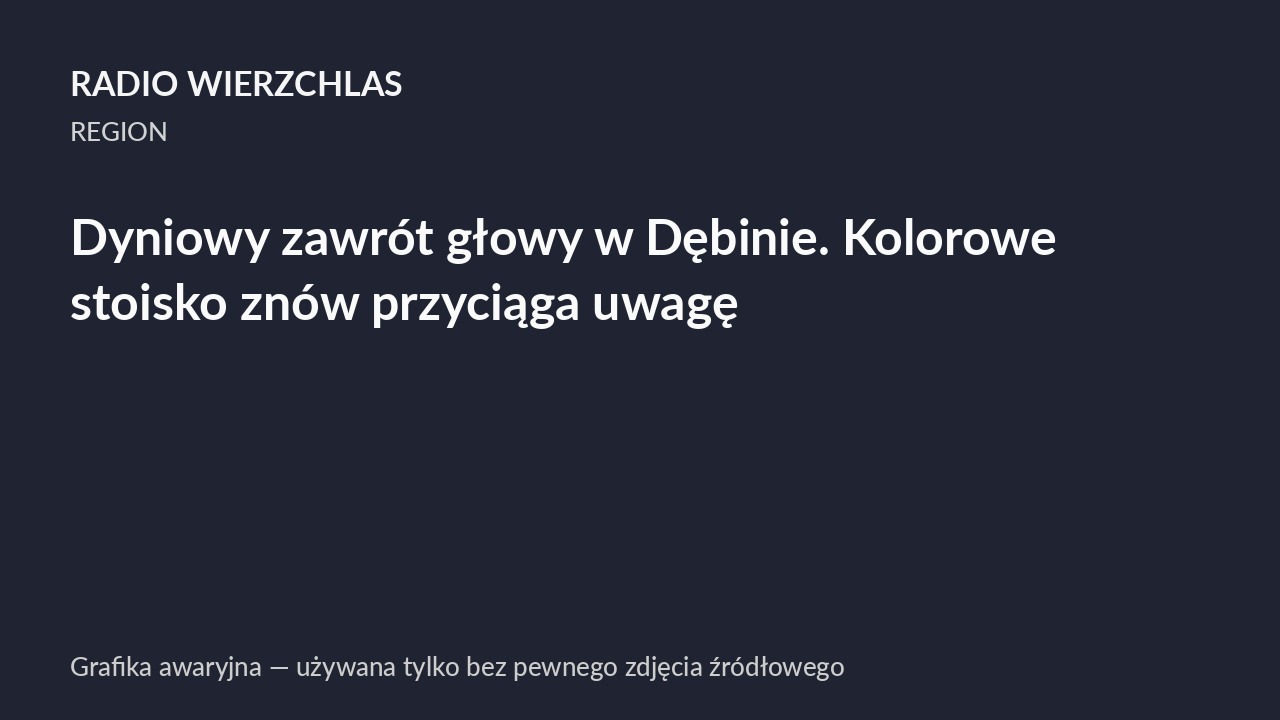 Dyniowy zawrót głowy w Dębinie. Kolorowe stoisko znów przyciąga uwagę