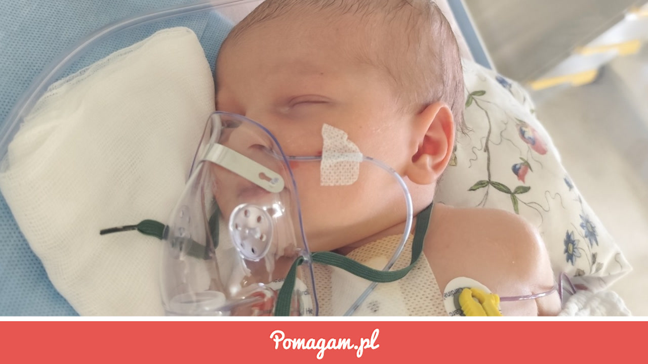 Pomoc dla Julki z Wierzchlasa
