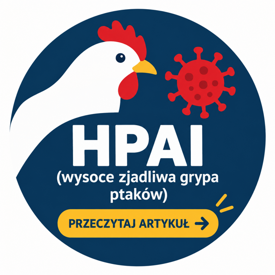 Grafika do informacji: Gmina Wierzchlas publikuje komunikat weterynaryjny dotyczący HPAI
