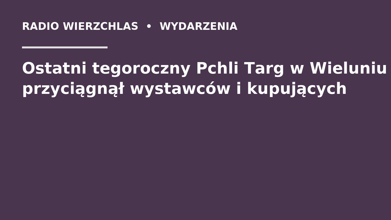 Grafika do informacji: Ostatni tegoroczny Pchli Targ w Wieluniu przyciągnął wystawców i kupujących
