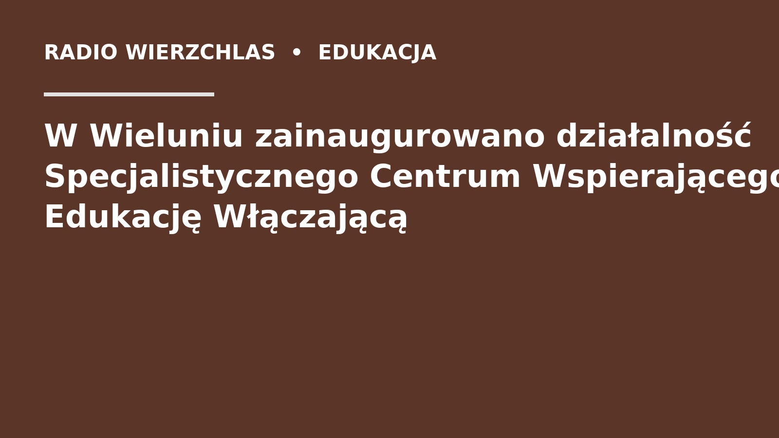 Grafika do informacji: W Wieluniu zainaugurowano działalność Specjalistycznego Centrum Wspierającego Edukację Włączającą