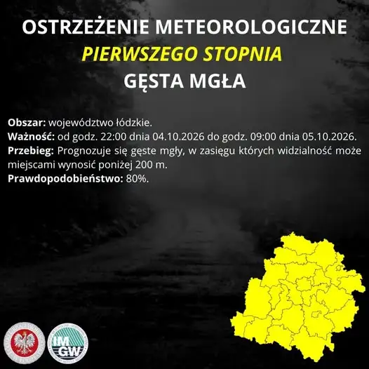 Plama oleju w Wierzchlasie. Interweniowali strażacy — zdjęcie 5.