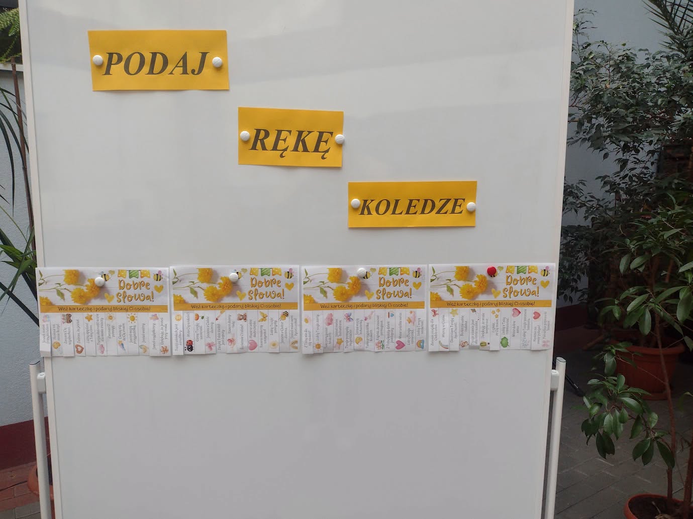 „Zgoda buduje, przemoc rujnuje”. Ważny apel w szkole w Białej — zdjęcie 10.