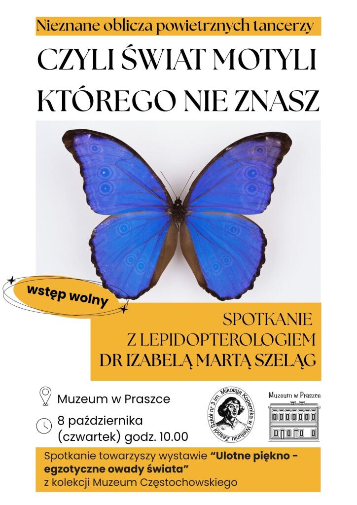 Gmina Praszka przygotowuje Program Wspierania Rodziny. Trwa ankieta — zdjęcie 6.