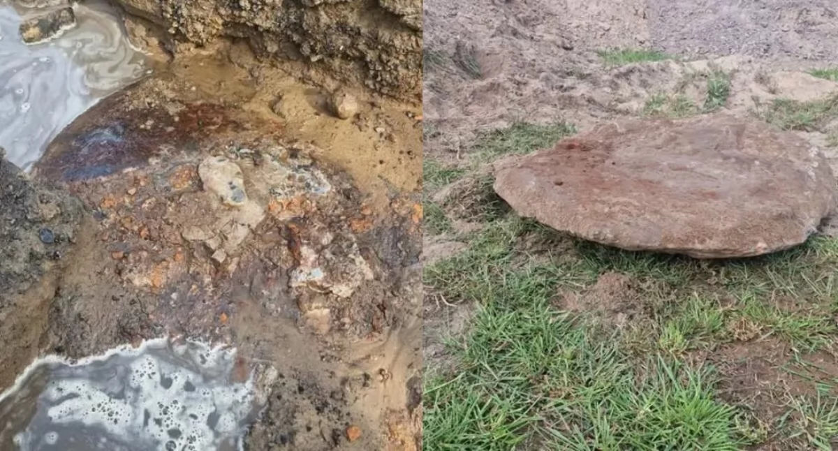 Interwencja służb w Kolonii Dzietrzkowice — zdjęcie 1.