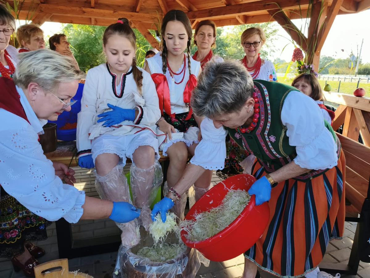 Warsztaty kiszenia kapusty w Rychłocicach - zdjecie 2.