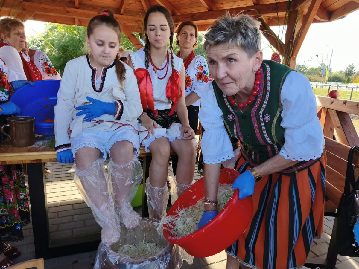 Warsztaty kiszenia kapusty w Rychłocicach - zdjecie 3.