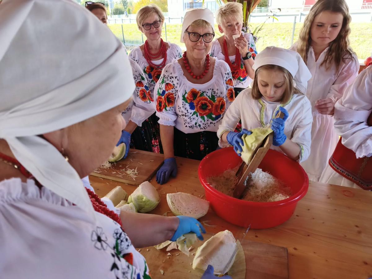 Warsztaty kiszenia kapusty w Rychłocicach - zdjecie 5.