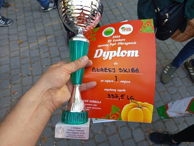 Gigantyczna dynia w Lututowie. Waży około 350 kilogramów i nadal rośnie — zdjęcie 2.